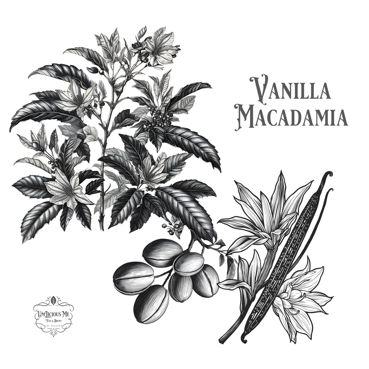 Vanilla Macadamia – Flavored Whole Bean Coffee