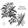Vanilla Macadamia – Flavored Whole Bean Coffee